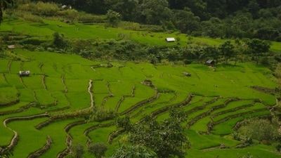 Where to go: Located near the Indo-Myanmar border, Khonomo is known as India’s first green village. Surrounded by large rainforests, the village gained recognition in 2005 for its efforts in preserving ecological diversity and its practices of sustainable living. In order to promote environmental consciousness among its visitors, the town provides sustainable lodging choices such as retreats and homestays. Travellers can enjoy a truly authentic experience and learn about the local culture in the village's well maintained surroundings. (Unsplash) Where to go: Located near the Indo-Myanmar border, Khonomo is known as India’s first green village. Surrounded by large rainforests, the village gained recognition in 2005 for its efforts in preserving ecological diversity and its practices of sustainable living. In order to promote environmental consciousness among its visitors, the town provides sustainable lodging choices such as retreats and homestays. Travellers can enjoy a truly authentic experience and learn about the local culture in the village's well maintained surroundings. (Unsplash)