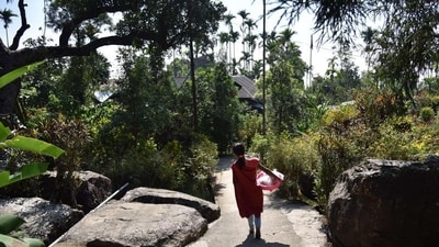 Where to go: Mawlynnong, renowned as the cleanest village in Asia, has taken bold steps to ban the use of plastic, adorning its streets with bamboo dustbins, resulting in an almost non-existent litter problem. A must-visit attraction nearby is the Living Roots Bridge, a UNESCO World Heritage Site located just a short distance away from Mawlynnong. These incredible natural bridges have been ingeniously created by the Khasi tribes of Meghalaya, who intertwine the roots of Ficus trees to form these awe-inspiring structures. (File photo) Where to go: Mawlynnong, renowned as the cleanest village in Asia, has taken bold steps to ban the use of plastic, adorning its streets with bamboo dustbins, resulting in an almost non-existent litter problem. A must-visit attraction nearby is the Living Roots Bridge, a UNESCO World Heritage Site located just a short distance away from Mawlynnong. These incredible natural bridges have been ingeniously created by the Khasi tribes of Meghalaya, who intertwine the roots of Ficus trees to form these awe-inspiring structures. (File photo)