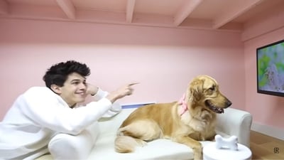 YouTuber Brent Rivera with his pet dog Charly. (YouTube/@brentrivera) YouTuber Brent Rivera with his pet dog Charly. (YouTube/@brentrivera)