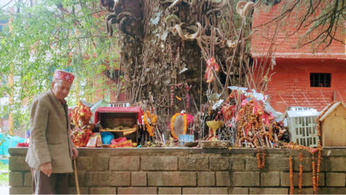 Ghatokacha Temple, Manali. (Courtesy, the Author) Ghatokacha Temple, Manali. (Courtesy, the Author)