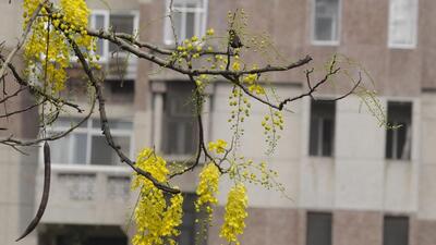 A housing society in Gurugram. (Photo for representation) A housing society in Gurugram. (Photo for representation)