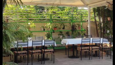 City restaurant that offers environment friendly ambience with no plastic use City restaurant that offers environment friendly ambience with no plastic use