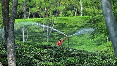 The PMKSY will be repurposed to achieve a goal of “20% conservative increase in on-farm water-use efficiency over and above the existing 35% use efficiency”, according to details seen by HT. (ANI) The PMKSY will be repurposed to achieve a goal of “20% conservative increase in on-farm water-use efficiency over and above the existing 35% use efficiency”, according to details seen by HT. (ANI)