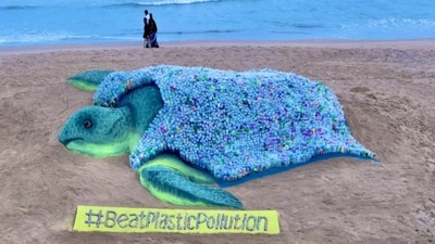 World Environment Day 2023: Turtle made by Sudarsan Pattnaik using 2320 plastic bottles. (Twitter/@sudarsansand) World Environment Day 2023: Turtle made by Sudarsan Pattnaik using 2320 plastic bottles. (Twitter/@sudarsansand)