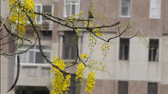 A housing society in Gurugram. (Photo for representation)