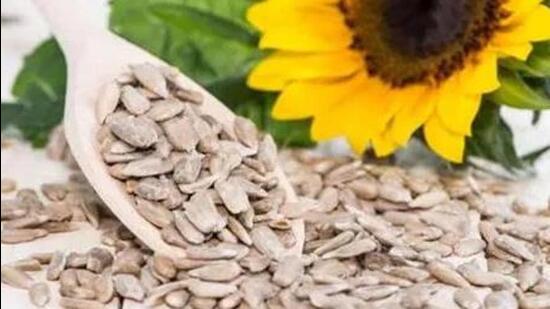 Protesting Haryana farmers seeking MSP for sunflower seed threatened to block NH 44. (HT File)
