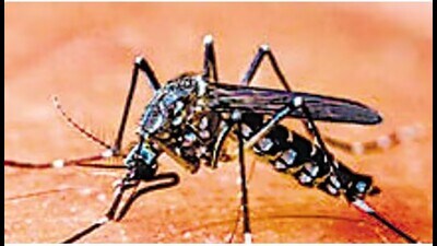 A meeting of health officials was held on the initiative of Panchkula civil surgeon at the office of medical superintendent, ESI Hospital, Parwanoo. (Getty images)