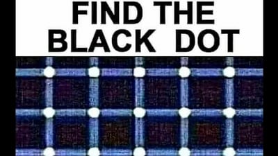 Find the black dot. (Twitter)