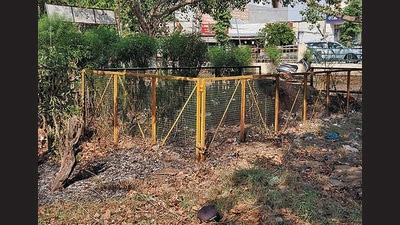 Municipal corporation’s health branch officials said that strict guidelines have been issued to the park management committees, sanitation workers, gardeners and other staff not to burn the waste. (HT Photo) Municipal corporation’s health branch officials said that strict guidelines have been issued to the park management committees, sanitation workers, gardeners and other staff not to burn the waste. (HT Photo)