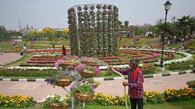 Of the 35, 890,997 plants to be planted, 9.5 million plants will be put up in the Capital city, 8.8 million in Haryana’s NCR districts, 15.2 million in UP’s and 2.3 million in Rajasthan’s NCR districts, according to the action plan released on Tuesday. (AFP) Of the 35, 890,997 plants to be planted, 9.5 million plants will be put up in the Capital city, 8.8 million in Haryana’s NCR districts, 15.2 million in UP’s and 2.3 million in Rajasthan’s NCR districts, according to the action plan released on Tuesday. (AFP)
