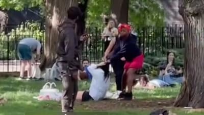 Woman pulling an unsuspecting stranger by hair at Tompkins Square Park in Manhattan. Woman pulling an unsuspecting stranger by hair at Tompkins Square Park in Manhattan.