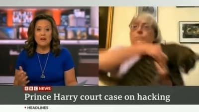 Cat makes an appearance during a BBC interview on Prince Harry. (Twitter/@scottygb) Cat makes an appearance during a BBC interview on Prince Harry. (Twitter/@scottygb)