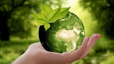 Climate change (Representational photo / Creative Commons) Climate change (Representational photo / Creative Commons)