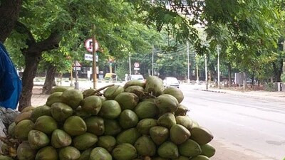 In the video, Sameer was purportedly seen collecting water from a drain and sprinkling it on tender coconuts kept on his cart.