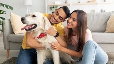 Remember, every pet is unique, and it's important to understand your pet's individual needs and preferences. By incorporating these gestures into your interactions with your pet, you can help foster a loving and nurturing relationship (Unsplash) Remember, every pet is unique, and it's important to understand your pet's individual needs and preferences. By incorporating these gestures into your interactions with your pet, you can help foster a loving and nurturing relationship (Unsplash)