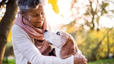 Offer physical affection: Pets often appreciate physical touch and affection. Pet, stroke, and cuddle your pet regularly to show them love. Each animal has its preferences, so observe your pet's body language and respond accordingly. (Unsplash) Offer physical affection: Pets often appreciate physical touch and affection. Pet, stroke, and cuddle your pet regularly to show them love. Each animal has its preferences, so observe your pet's body language and respond accordingly. (Unsplash)