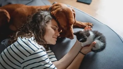 Use positive reinforcement: Reward your pet's good behavior with treats, praise, and affection. Positive reinforcement training techniques can help build a stronger bond between you and your pet while promoting desired behaviors. (Unsplash) Use positive reinforcement: Reward your pet's good behavior with treats, praise, and affection. Positive reinforcement training techniques can help build a stronger bond between you and your pet while promoting desired behaviors. (Unsplash)