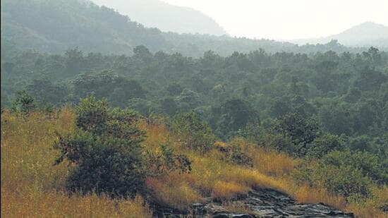 The mining industry has welcome the move although some environmentalists have sounded caution.