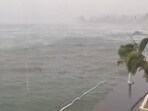 Trees sway in the wind as cyclonic storm Biparjoy moves northwards