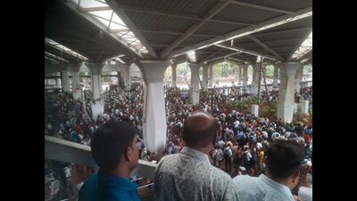 Bush fire near Nerul station delays trains