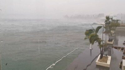 Trees sway in the wind as cyclonic storm Biparjoy moves northwards (via REUTERS)