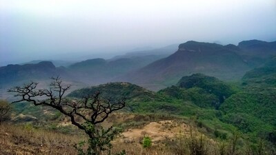Pachmarhi, Madhya Pradesh: Tucked away in the heart of Madhya Pradesh, India, lies a hidden gem known as Pachmarhi. Surrounded by lush green forests, cascading waterfalls, and ancient caves, Pachmarhi is a mesmerizing hill station that often goes unnoticed by many travellers. In this article, we invite you to explore the enchanting beauty and tranquillity of Pachmarhi, where nature's wonders unfold at every step. (Unsplash) Pachmarhi, Madhya Pradesh: Tucked away in the heart of Madhya Pradesh, India, lies a hidden gem known as Pachmarhi. Surrounded by lush green forests, cascading waterfalls, and ancient caves, Pachmarhi is a mesmerizing hill station that often goes unnoticed by many travellers. In this article, we invite you to explore the enchanting beauty and tranquillity of Pachmarhi, where nature's wonders unfold at every step. (Unsplash)
