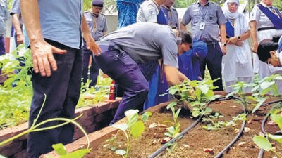 BMC to set up urban farms at 250 schools; organic veggies to be used in midday meals