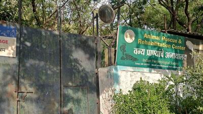 The department has written to Mahip Gupta, Principal Chief Conservator of Forests (Wildlife), and Chief Wildlife Warden about this mismanagement and demanded immediate intervention for the same. (Ravindra Joshi/HT PHOTO) The department has written to Mahip Gupta, Principal Chief Conservator of Forests (Wildlife), and Chief Wildlife Warden about this mismanagement and demanded immediate intervention for the same. (Ravindra Joshi/HT PHOTO)