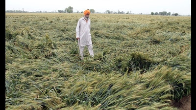 The farmer leaders said there was an “attack on the federal system” of the state and opposed the policy of centralisation. (HT File Photo)
