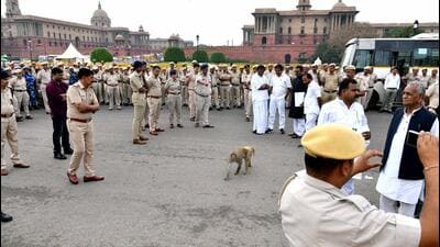The monkey problem has escalated in critical New Delhi and Parliament areas and across the Capital. While there is no official count or census of monkeys in Delhi, according to MCD data, the annual number of monkeys caught has ranged between 200 and 500. (ANI) The monkey problem has escalated in critical New Delhi and Parliament areas and across the Capital. While there is no official count or census of monkeys in Delhi, according to MCD data, the annual number of monkeys caught has ranged between 200 and 500. (ANI)
