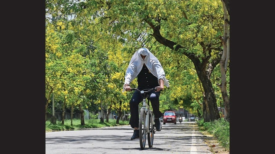 A cyclist takes cover under his shirt in Chandigarh on a scorching Thursday afternoon. (Ravi Kumar/HT)