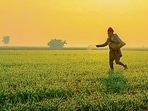 "Technology holds immense potential to revolutionize the agricultural sector and uplift the lives of Indian farmers," said Harsh Goyal, director and head of Fresh and Everyday Essentials, Amazon India. (PTI File) "Technology holds immense potential to revolutionize the agricultural sector and uplift the lives of Indian farmers," said Harsh Goyal, director and head of Fresh and Everyday Essentials, Amazon India. (PTI File)