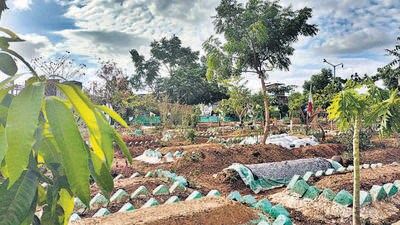 Govandi graveyard closes due to undecomposed bodies Govandi graveyard closes due to undecomposed bodies