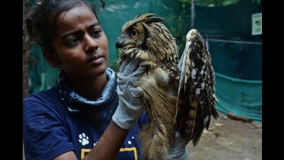 A volunteer from the NGO Wildlife Welfare Association, with an owl injured in a storm, in Thane in 2021. (HT Archives) A volunteer from the NGO Wildlife Welfare Association, with an owl injured in a storm, in Thane in 2021. (HT Archives)