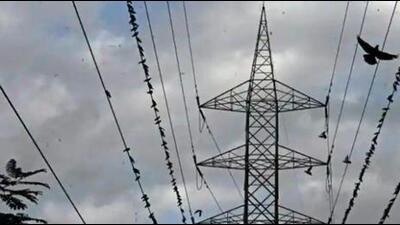 According to MSEDCL officials, the 220 kilowatt (KV) Urse to Chinchwad power line operated by Maharashtra State Electricity Transmission Co Ltd (Mahapareshan) carries a risk of overloading due to increased electricity demand. Hence, MSEDCL implemented load shedding . (REPRESENTATIVE PHOTO) According to MSEDCL officials, the 220 kilowatt (KV) Urse to Chinchwad power line operated by Maharashtra State Electricity Transmission Co Ltd (Mahapareshan) carries a risk of overloading due to increased electricity demand. Hence, MSEDCL implemented load shedding . (REPRESENTATIVE PHOTO)