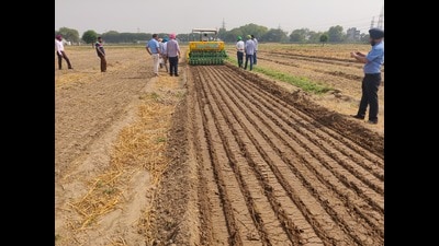 Last year when 16,641 verified cultivators in Haryana grew paddy in 72,900 acres using the direct seeded rice (DSR) technique that saves water, the Manohar Lal Khattar government released over ₹29 crore as incentive directly to bank accounts of farmers after field inspections. (HT File Photo) Last year when 16,641 verified cultivators in Haryana grew paddy in 72,900 acres using the direct seeded rice (DSR) technique that saves water, the Manohar Lal Khattar government released over ₹29 crore as incentive directly to bank accounts of farmers after field inspections. (HT File Photo)