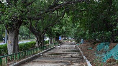 Officials said that the plan includes 2.5-metre-wide cycle tracks and two-metre-wide pedestrian tracks. (Sanchit Khanna/HT) Officials said that the plan includes 2.5-metre-wide cycle tracks and two-metre-wide pedestrian tracks. (Sanchit Khanna/HT)