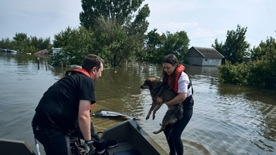 Volunteers evacuate dogs on a boat from a flooded neighbourhood in Kherson, Ukraine, Thursday. (AP) Volunteers evacuate dogs on a boat from a flooded neighbourhood in Kherson, Ukraine, Thursday. (AP)