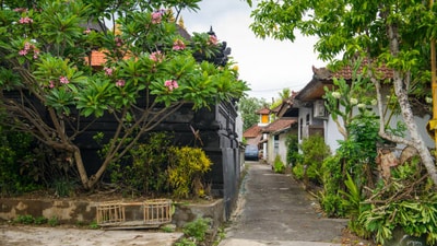 Land is a scarce resource in Goa and hence hotly contested. (Istock) Land is a scarce resource in Goa and hence hotly contested. (Istock)
