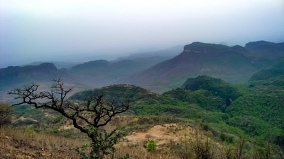 Pachmarhi: Nestled in the heart of the Satpura Range, Pachmarhi is a hill station that will leave you enchanted. Surrounded by dense forests, cascading waterfalls, and serene valleys, it offers a perfect blend of nature's beauty and adventure. From exploring ancient caves to trekking to mesmerizing viewpoints, Pachmarhi has something for every traveller seeking solace in the lap of nature. (Unsplash) Pachmarhi: Nestled in the heart of the Satpura Range, Pachmarhi is a hill station that will leave you enchanted. Surrounded by dense forests, cascading waterfalls, and serene valleys, it offers a perfect blend of nature's beauty and adventure. From exploring ancient caves to trekking to mesmerizing viewpoints, Pachmarhi has something for every traveller seeking solace in the lap of nature. (Unsplash)