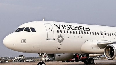 Vistara flight (HT Photo)
