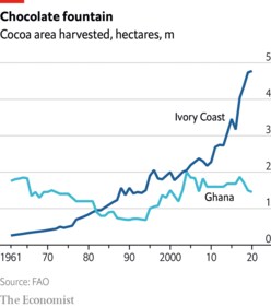 Cocoa area harvested in hectares (The Economist) Cocoa area harvested in hectares (The Economist)