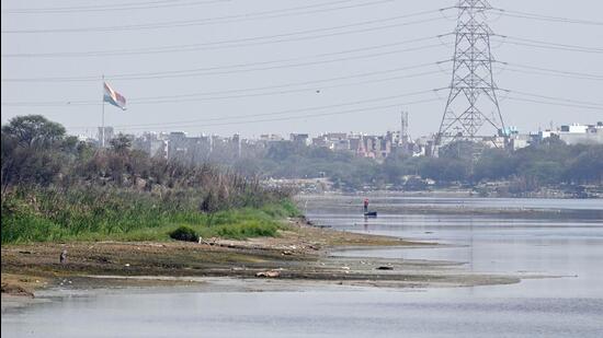 HLC on Yamuna rejuvenation was formed by the National Green Tribunal on January 9, 2023for reviving the river, with the Delhi LG appointed as its chairperson for overseeing the progress of projects in this regard. (HT Photo)