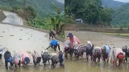 The image shows a few women from Nagaland. (Twitter/@AlongImna)