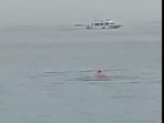 A screengrab of the video that surfaced online, showing the moments when the Russian man was attacked by the shark in Egypt.