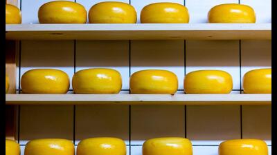 Cheese wheels placed on wooden shelf (Photo by Katrin Leinfellner on Unsplash) Cheese wheels placed on wooden shelf (Photo by Katrin Leinfellner on Unsplash)