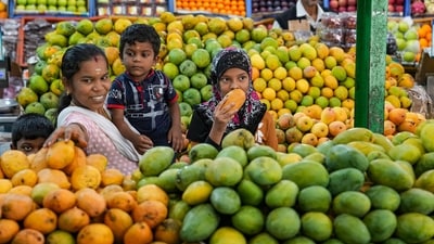 A woman with her children buys mangoes during a mango fair at Horticultural Producers Co-operative Marketing and Processing Society Limited (HOPCOMS), in Bengaluru. Health expert on tips to avoid stomach infections due to mangoes (PTI Photo/Shailendra Bhojak) A woman with her children buys mangoes during a mango fair at Horticultural Producers Co-operative Marketing and Processing Society Limited (HOPCOMS), in Bengaluru. Health expert on tips to avoid stomach infections due to mangoes (PTI Photo/Shailendra Bhojak)
