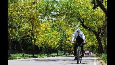 The mercury rose from 39.1°C to 40.4°C over the past 24 hours, though still two degrees below normal, due to clear and dry weather through the day. (Ravi Kumar/HT)
