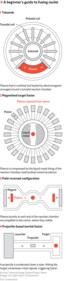 How nucleus are fused (The Economist)