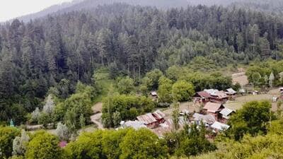 Falling in the Shamshabari mountain range, Kashmir’s Hafruda forests connects Tanghdar, Keran and Nowgam sectors. (HT Photo) Falling in the Shamshabari mountain range, Kashmir’s Hafruda forests connects Tanghdar, Keran and Nowgam sectors. (HT Photo)